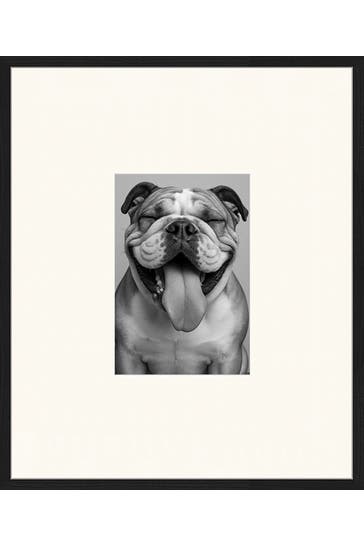 ANY IMAGE Wall Art The Bulldog