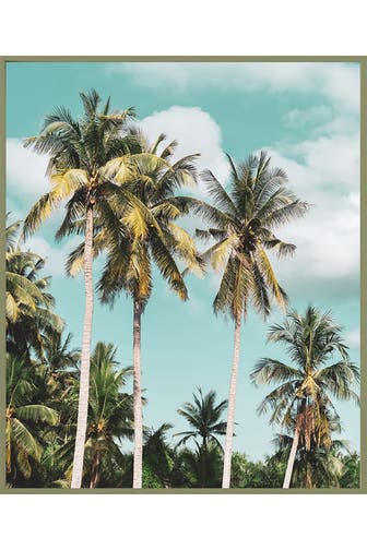 ANY IMAGE Wall Art Tropical Palm