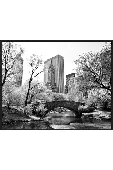 ANY IMAGE Wall Art New york central park
