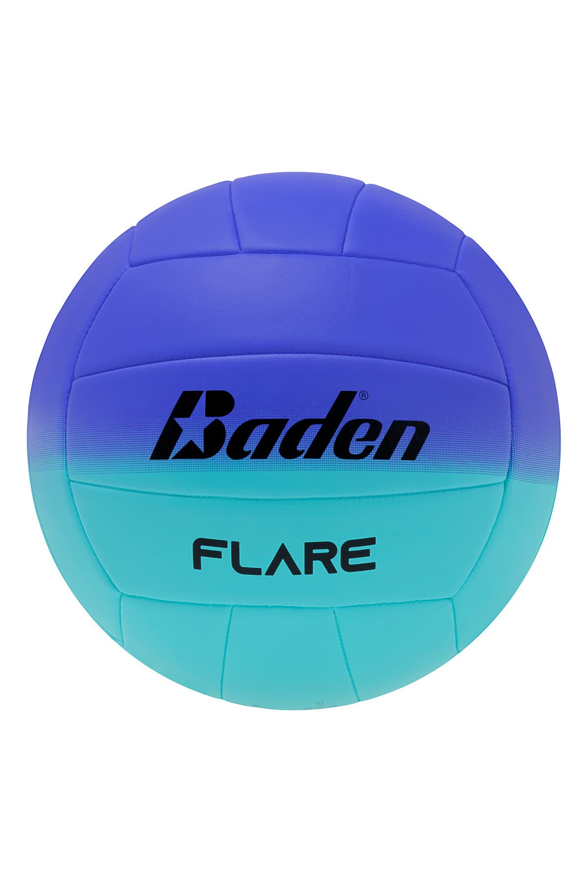 KEMPA Volleyball Baden Flare, Bild 1