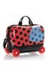 lady bug