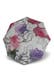 Iris pink
