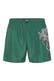 Short DRAGON 05 | green