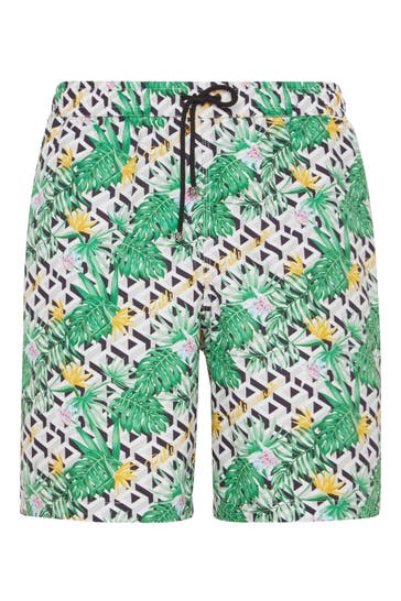 BILLIONAIRE Hose PALMS