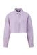 4724_lavendel