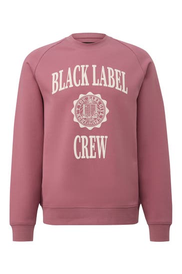S.OLIVER Sweatshirt 44D1_altrosa