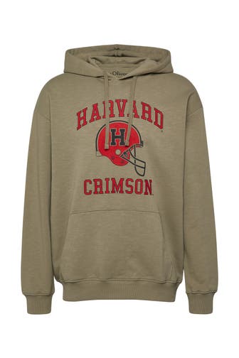 S.OLIVER Sweatshirt 78D1_olivgrün