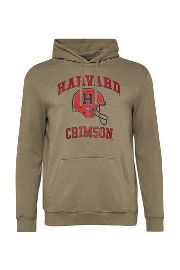 S.OLIVER Sweatshirt 78D1_olivgrün