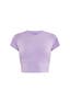 Lavendel