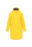 curry yellow
