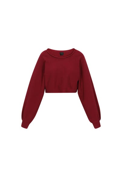 DREIMASTER Pullover burgundy