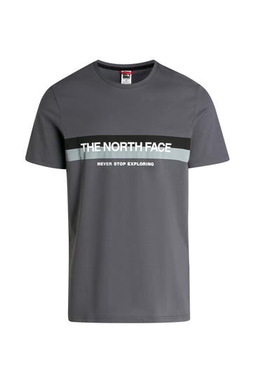 THE NORTH FACE T-Shirt grau