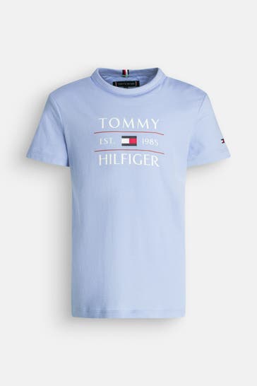 TOMMY HILFIGER T-Shirt taubenblau