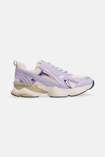 STEVE MADDEN Sneaker 'Speedster-E' mehrfarbig