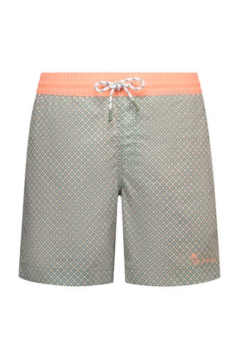 NEW ZEALAND AUCKLAND Badeshorts mehrfarbig