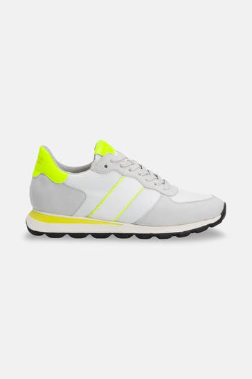 GEOX Sneaker 'Spherica' mehrfarbig