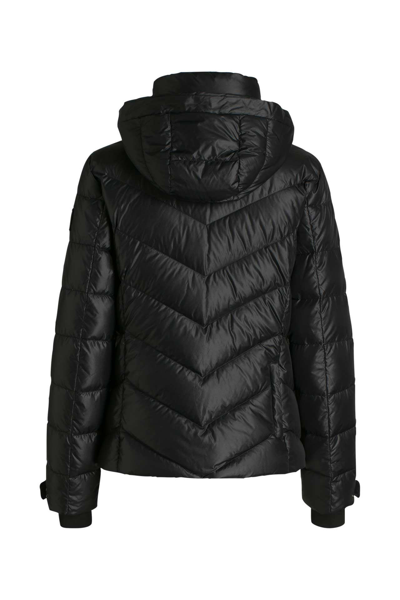 Bogner sassy cheap