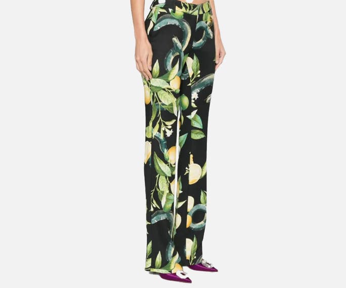 Roberto Cavalli