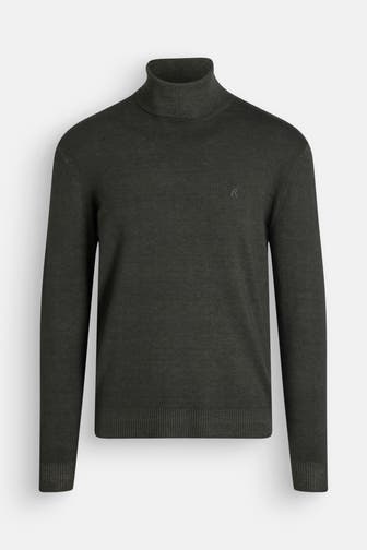 REPLAY Strickpullover tannengrün