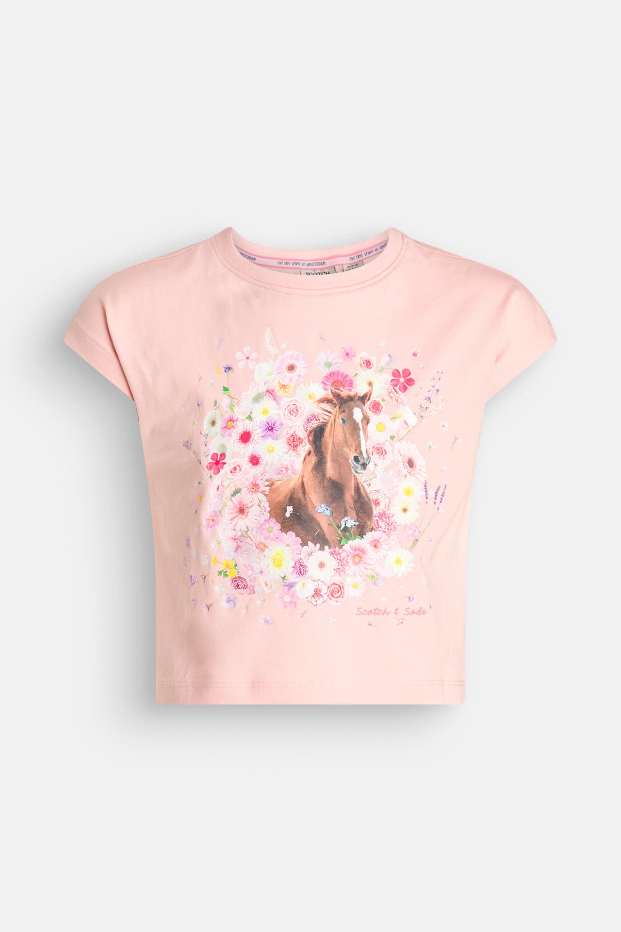 SCOTCH & SODA T-Shirt lachs, Bild 1