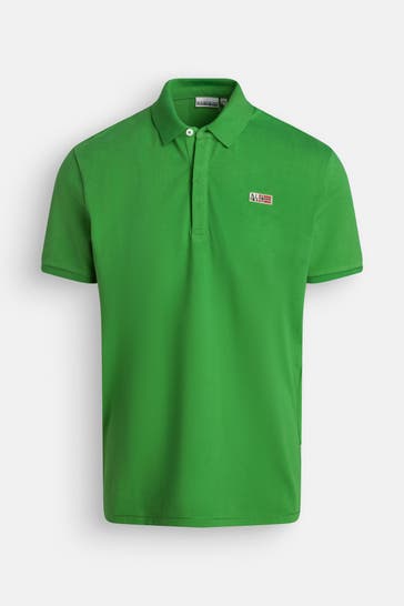 NAPAPIJRI Polo-Shirt 'Evan' grün