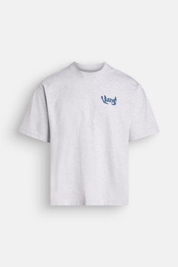 VANS T-Shirt 'Evolve' hellgrau