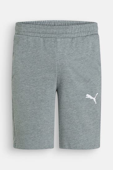 PUMA Shorts 'teamGOAL' grau