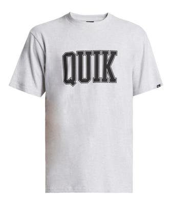 QUIKSILVER T-Shirt 'Griff' grau