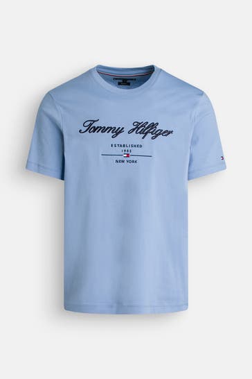 TOMMY HILFIGER T-Shirt taubenblau