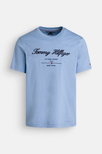 TOMMY HILFIGER T-Shirt taubenblau