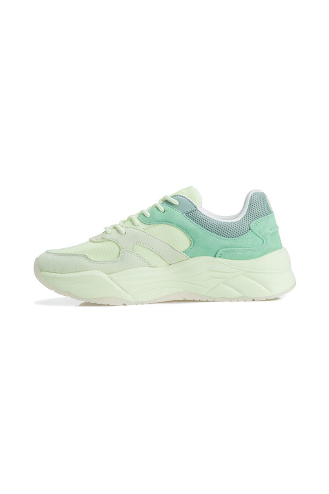 Scotch & Soda Celest: Scarpe Da Ginnastica Donna In Pelle Scamosciata, Fodera In Tessuto, Suola EVA, Stringate, Colore Beige - 2