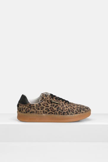 STEVE MADDEN Sneaker 'Euphoria' leo