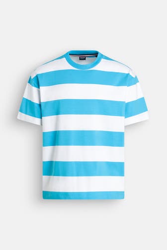 HECHTER Paris T-Shirt türkis gestreift