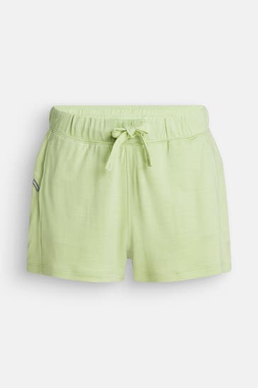 ICEBREAKER Shorts 'Glazen' grün