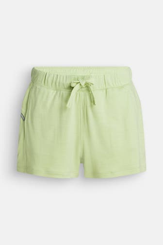 ICEBREAKER Shorts 'Glazen' grün