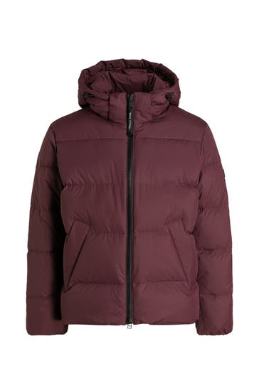 MARC O'POLO Daunenjacke weinrot