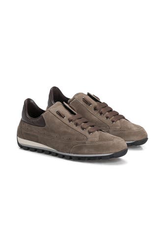 CANDICE COOPER Sneaker 'Runlo' taupe