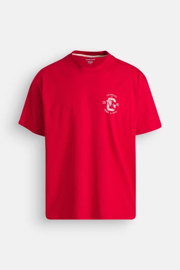 GUESS T-Shirt rot