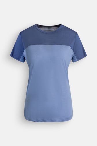 ICEBREAKER Funktionsshirt graublau