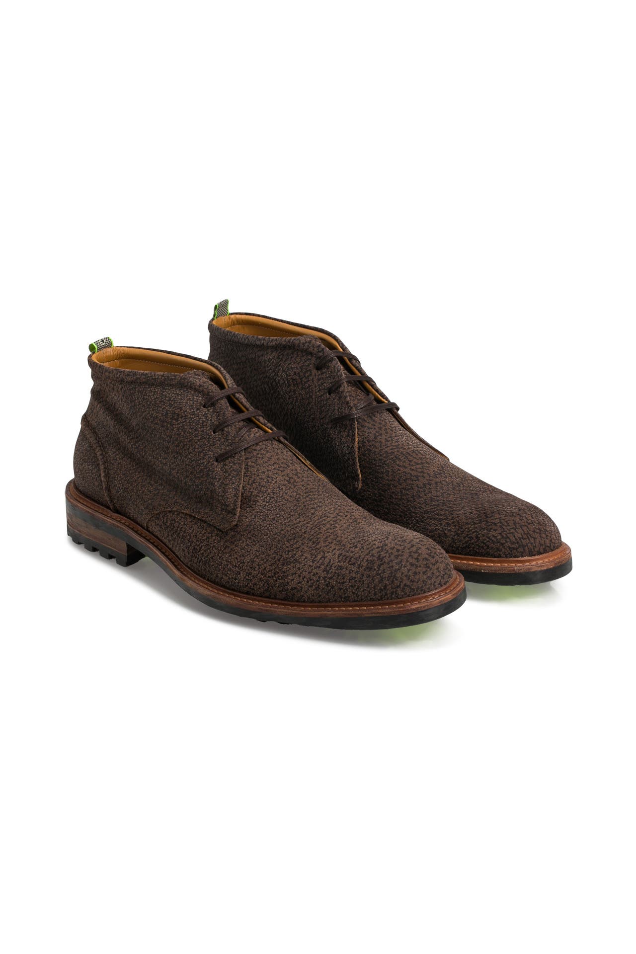 Floris van sales bommel rocki