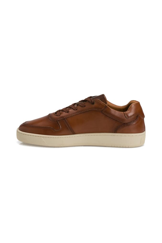 Sneakers camel active | La moda su