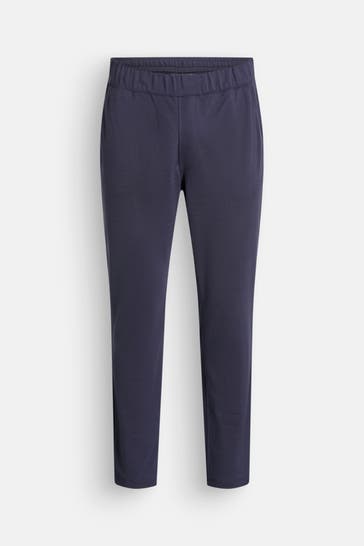 ICEBREAKER Joggpants 'Shifter II' graublau