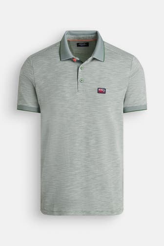 NEW ZEALAND AUCKLAND Polo-Shirt 'Skyler' grün