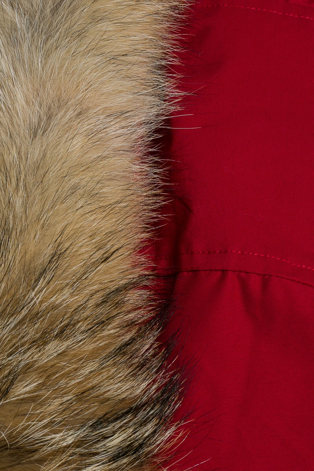 Woolrich dayton parka shop