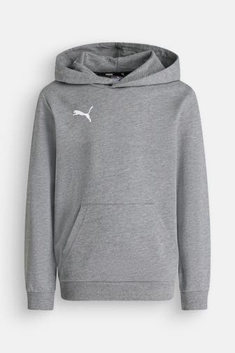 PUMA Hoodie 'Team Goal' grau