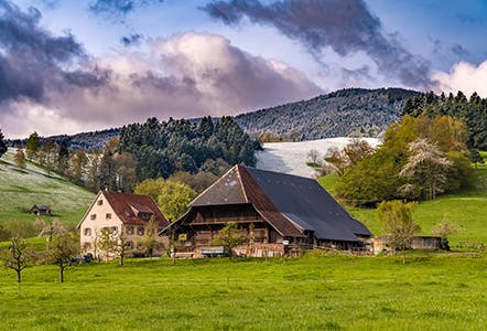 Schwarzwald Tourismus