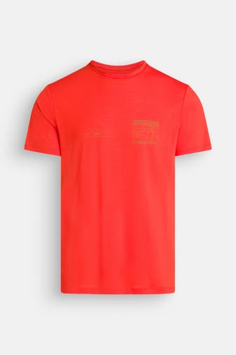 ICEBREAKER T-Shirt orangerot
