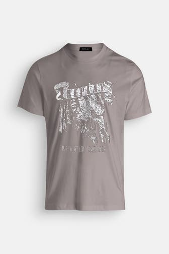REPLAY T-Shirt grau