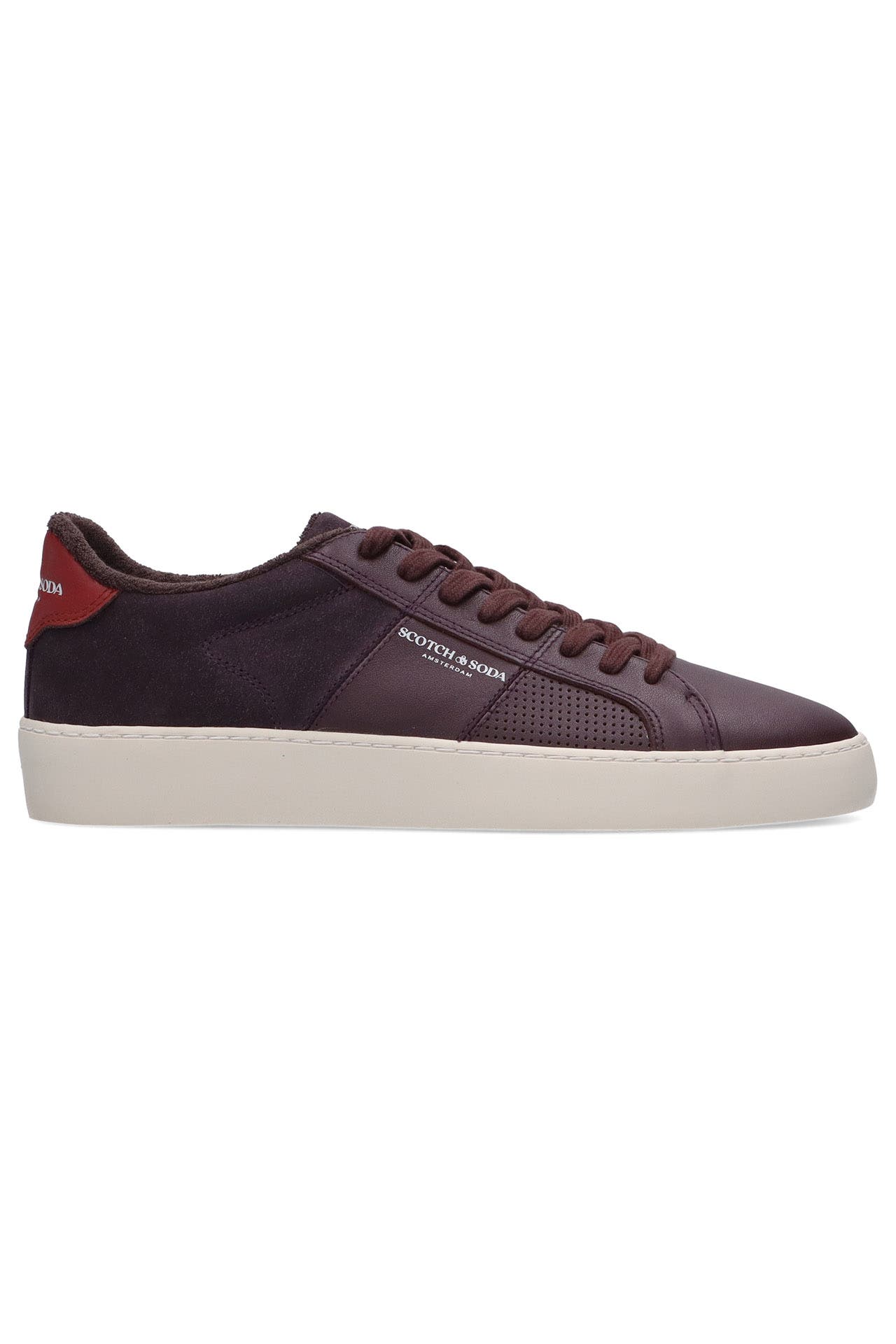 SCOTCH & SODA Sneaker 'Plakka' aubergine, Bild 1