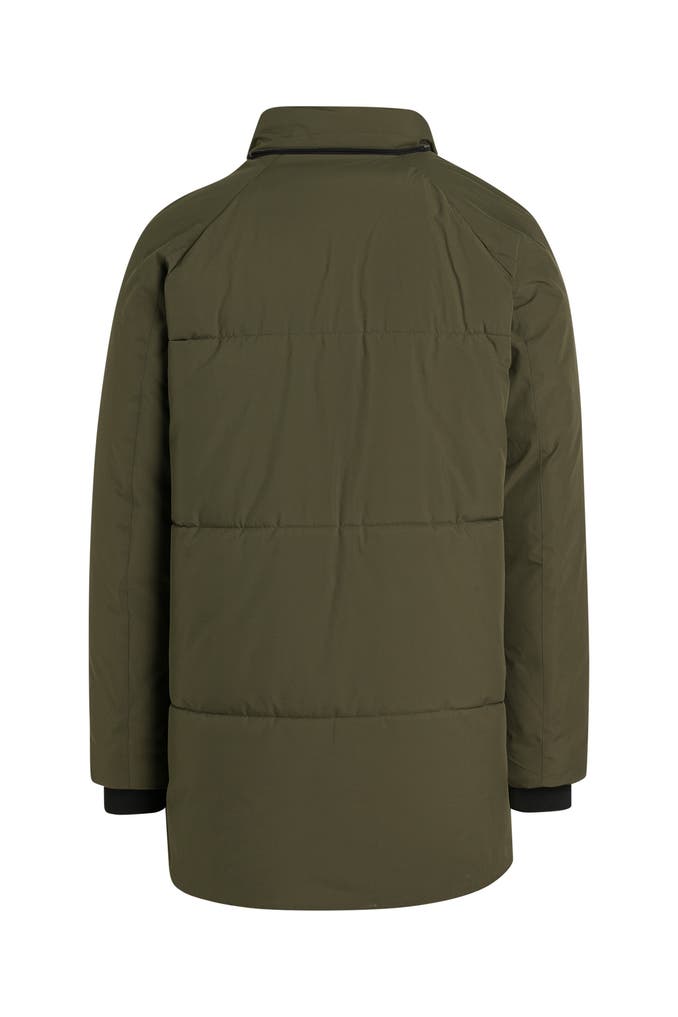 hilfiger parka herren oliv
